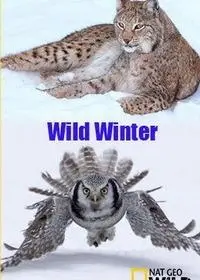 Зимний сезон (фильм 2016)