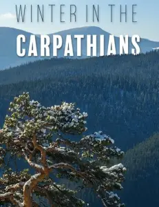 Зима в Карпатах (фильм 2017)