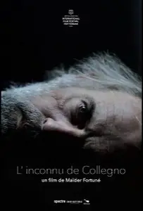 Незнакомец из Колленьо (фильм 2019)