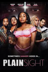 На виду (фильм 2024)